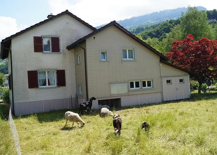 Schils Holiday home *