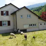 Schils Nyaraló *