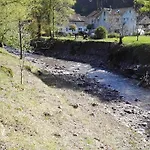 Schils Flums
