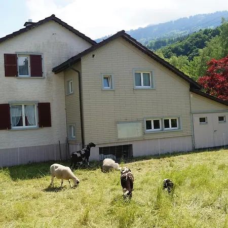 Schils Tatil Evi *