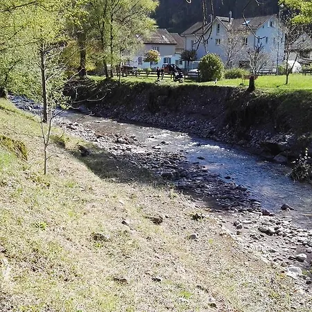 Schils Flums