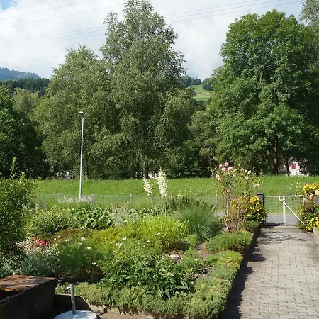 Schils